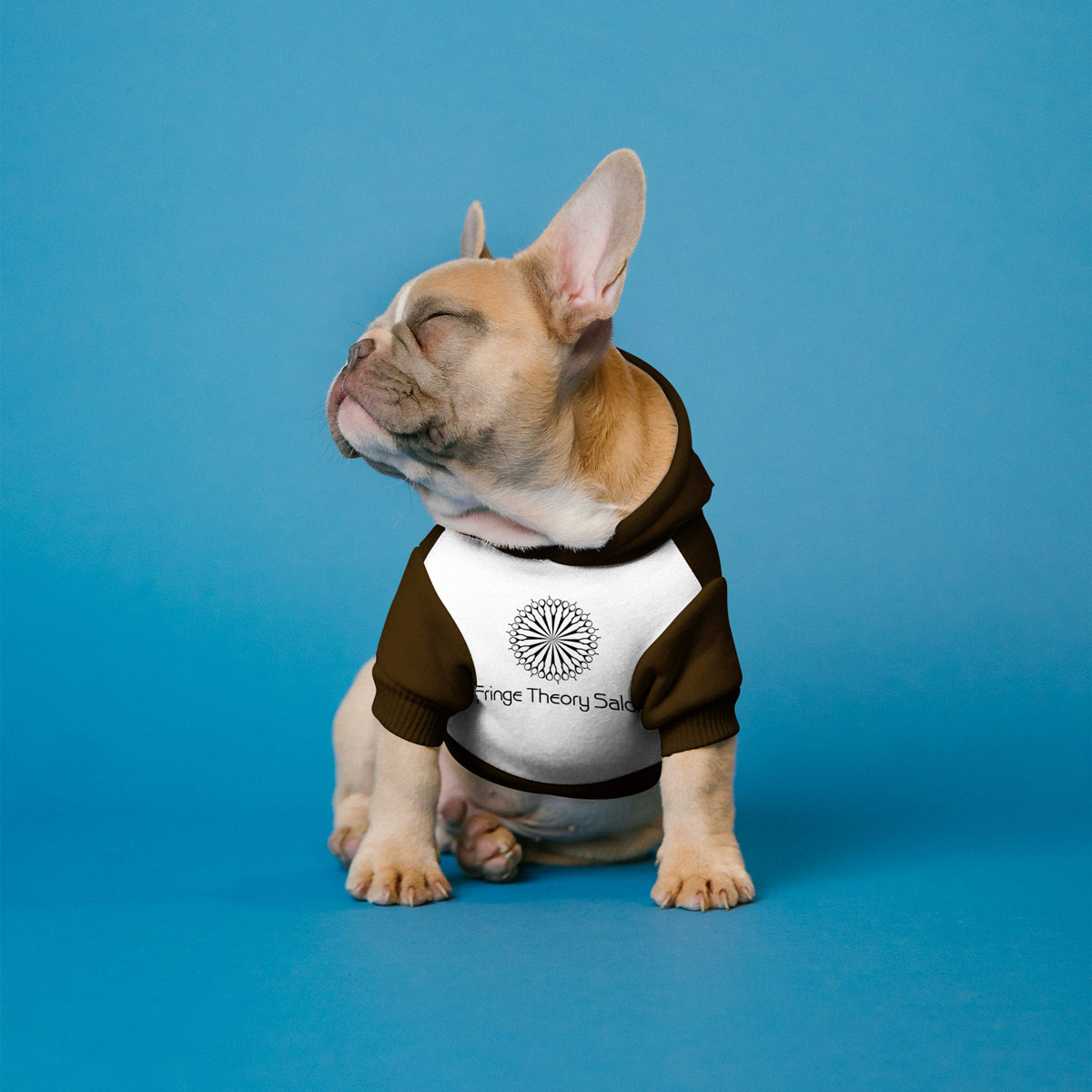Dog wearing shirt